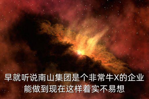 南山集團(tuán)對(duì)南山村的作用有什么，南山村的介紹