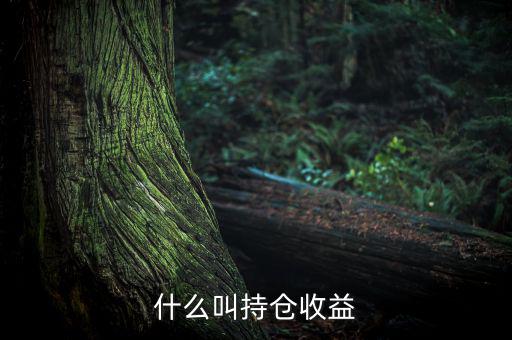 理財(cái)里的持倉(cāng)收益是什么意思，基金 持倉(cāng)收益7579 是什么意思啊 本人是新手