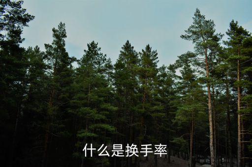換手率說明什么，什么是換手率