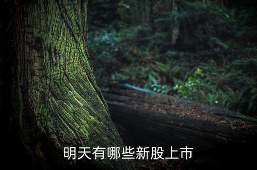明天什么股票上市，明天有哪些新股上市