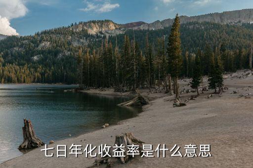 7天年化收益率是什么意思，年化收益率和7日收益率是什么意思