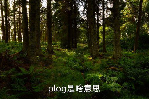 airbnb是什么意思，booking是什么意思