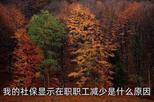 社保突然降了是什么原因，我的社保顯示在職職工減少是什么原因