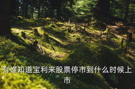 寶利來什么時候成為st股的，正常的股票變成st的具體時間