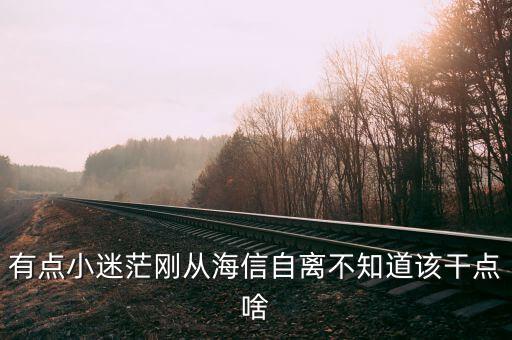 海信田野做什么工作，青島海信工程師做什么工作