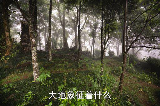 高地價(jià)象征什么，大地象征著什么
