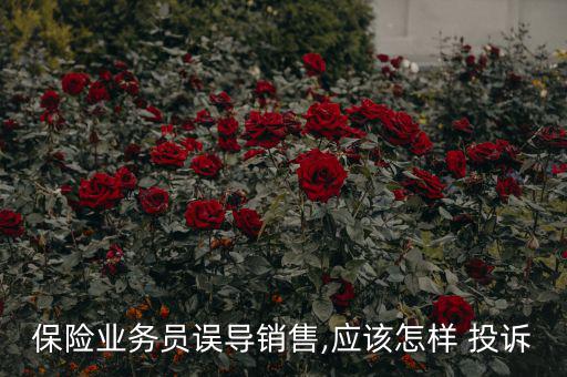 怎么投訴原生態(tài)銷(xiāo)售員,房地產(chǎn)銷(xiāo)售技巧:先傾聽(tīng)再了解客戶想法