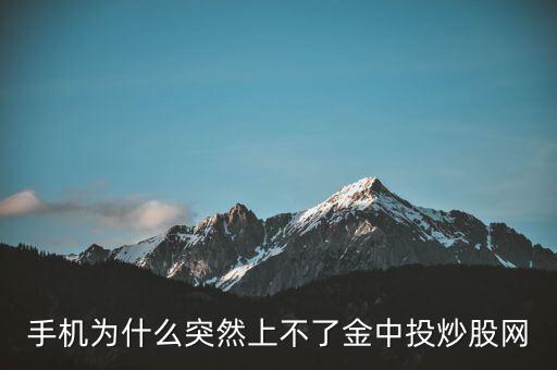 為什么不能用金航線炒股，中航證券的金航線手機版為什么不能申購新股
