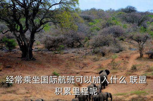 星空聯(lián)盟積分怎么算,南航、東航可通過(guò)明珠卡共享積分等