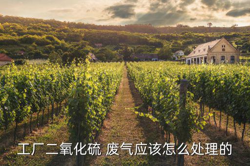 工廠二氧化硫 廢氣應該怎么處理的