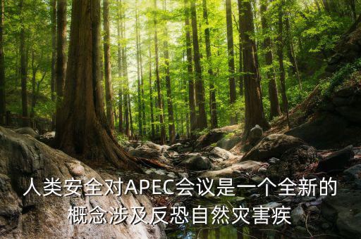2014apec峰會(huì)簽署了什么文件，亞洲和太平洋地區(qū)經(jīng)濟(jì)合作會(huì)議簡(jiǎn)稱 APEC