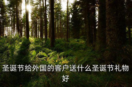 中國出口什么圣誕節(jié)禮物，在中國過圣誕節(jié)一般送什么禮物