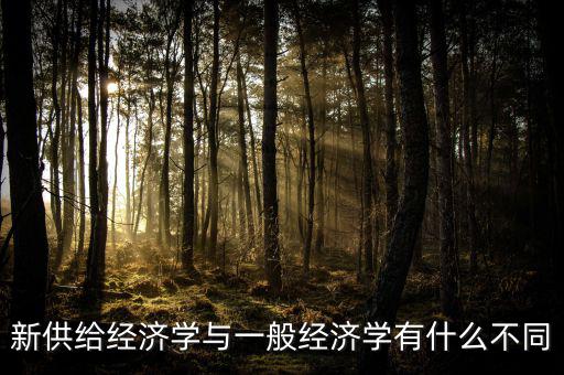 新供給經(jīng)濟學(xué)與一般經(jīng)濟學(xué)有什么不同