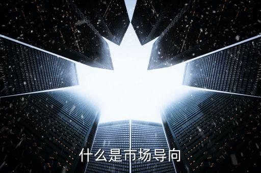 什么叫市場(chǎng)導(dǎo)向機(jī)制，什么是市場(chǎng)導(dǎo)向