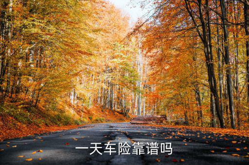 一天車險是什么，一天車險怎么停駛才有錢