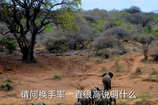 換手率持續(xù)高說明什么，新股換手率高說明什么