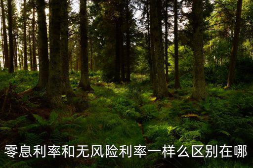 即期利率是什么，定期的利息和國(guó)期的利息是什么