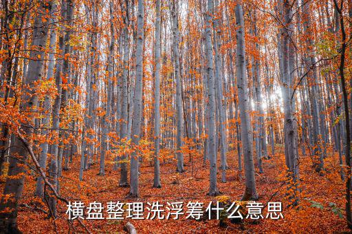 橫盤(pán)整理洗浮籌什么意思