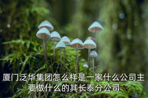 廈門泛華集團(tuán)怎么樣是一家什么公司主要做什么的其長泰分公司