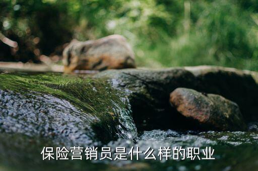 保險(xiǎn)承銷員是什么，保險(xiǎn)營(yíng)銷員是干什么的