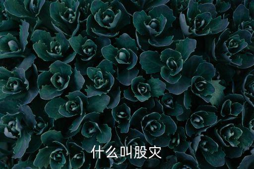 股災逃脫人叫什么，做了壞事倉皇而逃的人叫什么