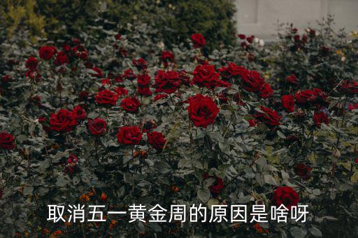 五一黃金周為什么取消，為什么取消五一黃金周