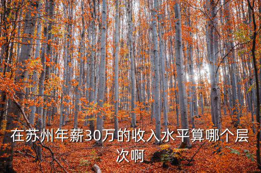 年薪三十萬元處于什么階層，在蘇州年薪30萬的收入水平算哪個層次啊