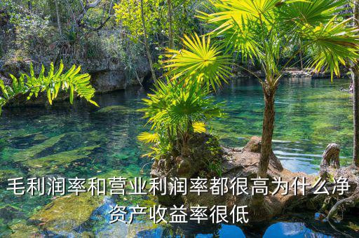 資產(chǎn)凈利率較低是為什么，為什么利潤(rùn)率高資產(chǎn)收益率卻低