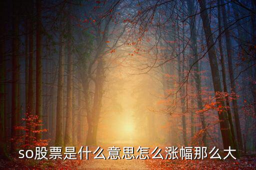 so股票是什么意思，股市上so開頭的是什么意思