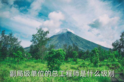 核安全總工程師是什么級(jí)別，總工程師是什么級(jí)別