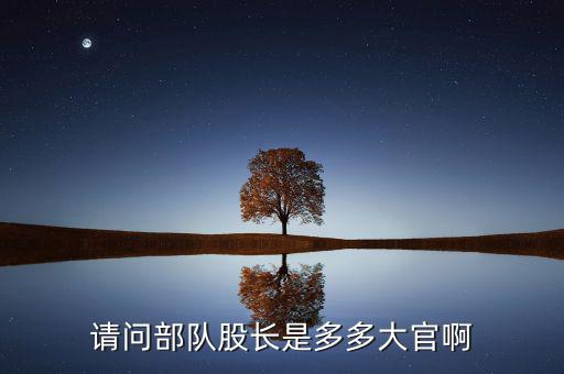 請問部隊股長是多多大官啊