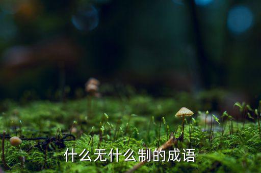 什么無什么制的成語(yǔ)