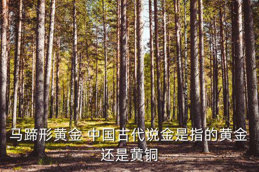 中國古代的黃金是什么，古代中國都使用了哪些金屬