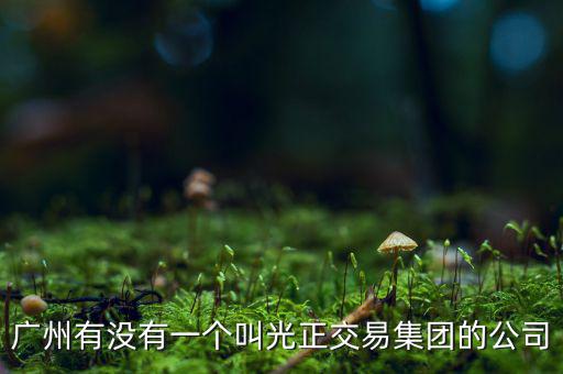 光正集團股票公司主要生產(chǎn)什么，光正集團股票是做什么板塊的