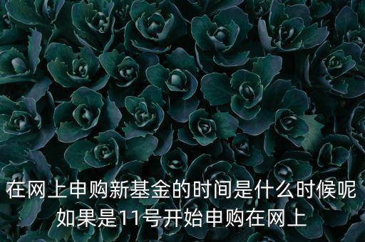 在網(wǎng)上申購新基金的時(shí)間是什么時(shí)候呢如果是11號(hào)開始申購在網(wǎng)上