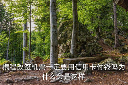 攜程為什么航班改簽，攜程訂了機(jī)票為什么不能改簽