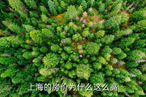 為什么上海房?jī)r(jià)突然漲，談一下上海房?jī)r(jià)去年瘋漲的原因