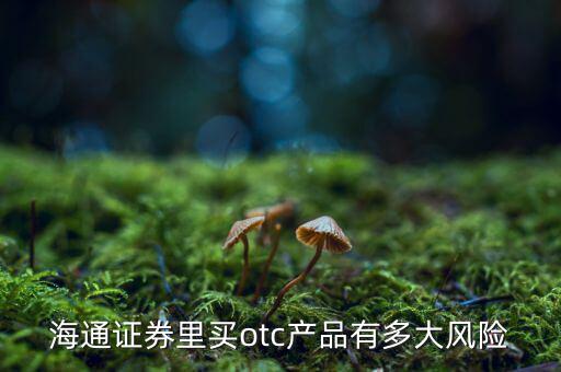 海通證券里買otc產(chǎn)品有多大風險