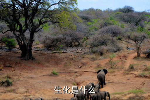 長(zhǎng)安生化是什么呢，生化是指什么呀