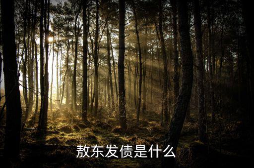 東方發(fā)債是什么，東方配債是甚么意思