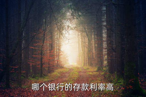 錢(qián)存什么銀行利息高，哪個(gè)銀行的存款利率高