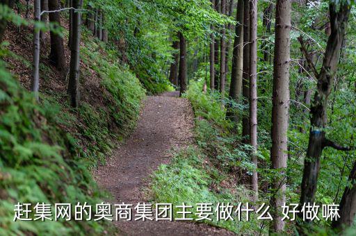 奧骨集團是做什么的，趕集網(wǎng)的奧商集團主要做什么 好做嘛