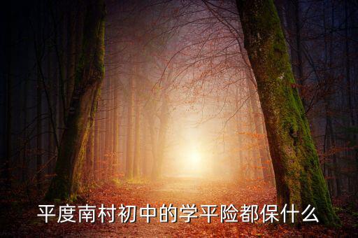 學(xué)平險(xiǎn)保些什么，中國(guó)人壽60元的學(xué)平險(xiǎn)保什么
