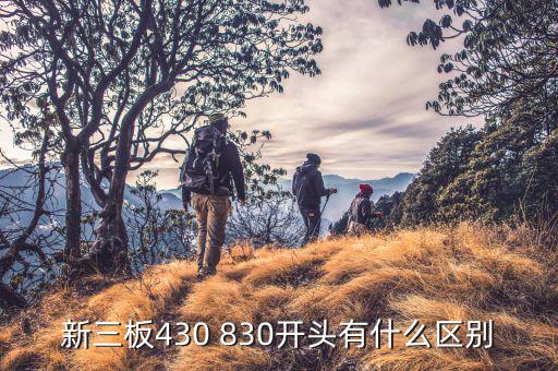 430開頭的股票代碼代表什么，股票代碼前為430的股票是什么公司怎么在騰迅中搜不到啊