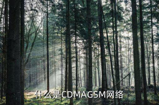 電信cdma是什么網(wǎng)絡(luò)，cdma是什么網(wǎng)絡(luò)