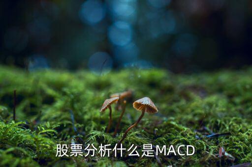 股票中macd是什么意思，股票中MACD指標是什么意思