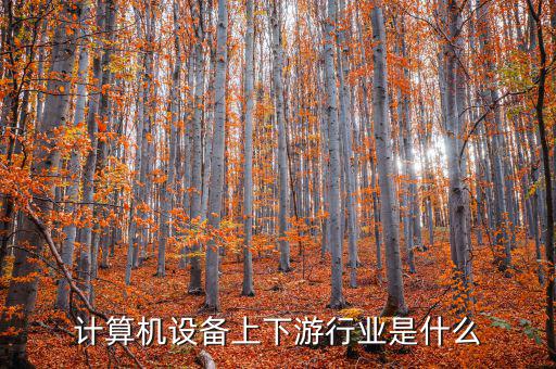 什么是計(jì)算機(jī)上游行業(yè)，軟件行業(yè)的上下游行業(yè)有哪些