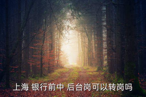 銀行前臺(tái)怎么轉(zhuǎn)后臺(tái),銀行分為中央銀行和政策銀行、商業(yè)銀行等