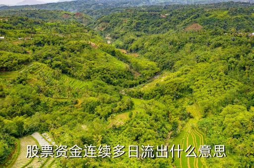 為什么一支股票連續(xù)幾月大單流出，股票資金連續(xù)多日流出什么意思