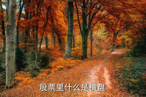 橫盤調整什么意思，股民們說的建倉橫盤是什么意思